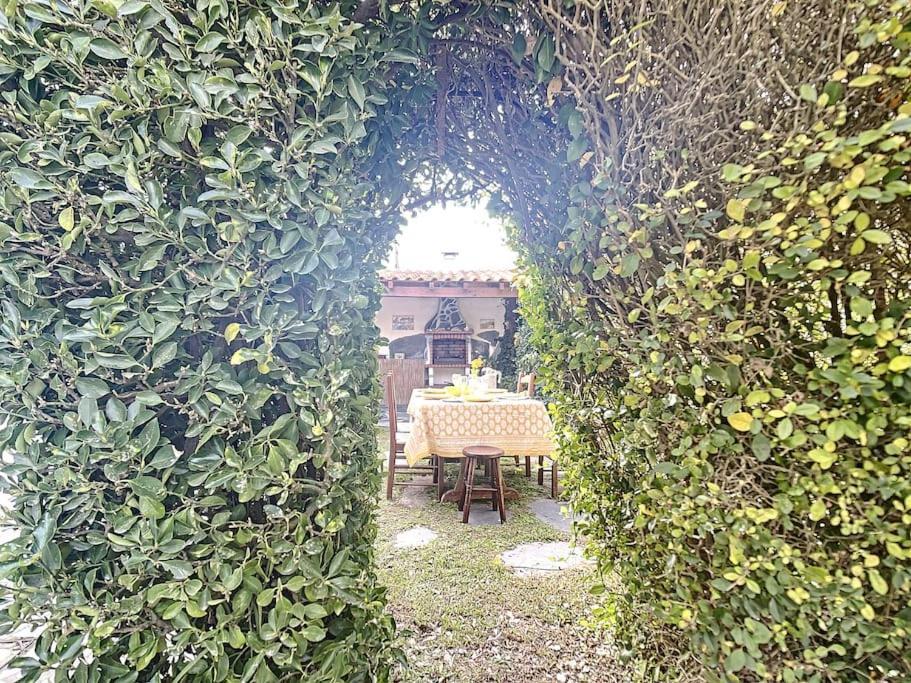 Villa Casa Do Vale-villa With Private Pool And Garden Palmela